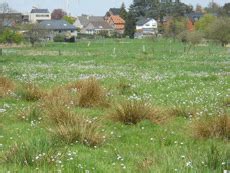 voorlichting lv vlaanderen be|Actuele prijs.